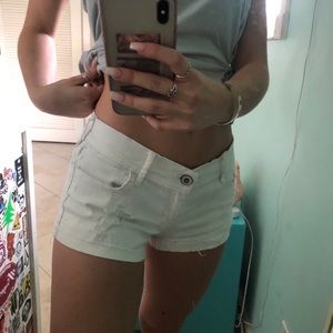 Low Waisted Shorts